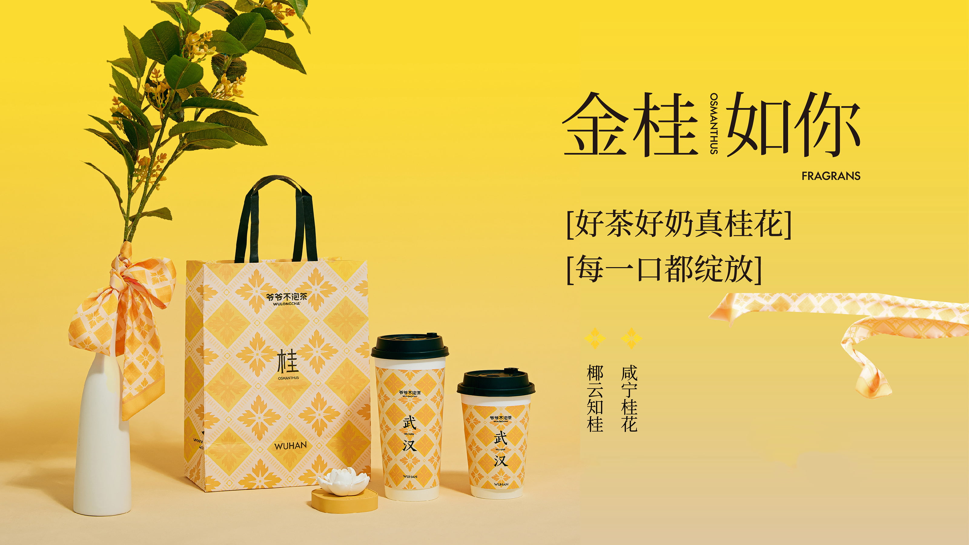 爷爷不泡茶