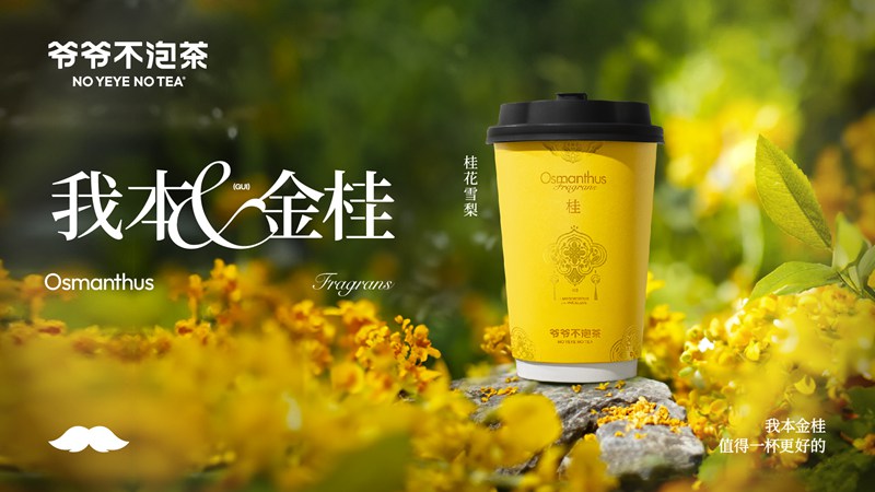 爷爷不泡茶